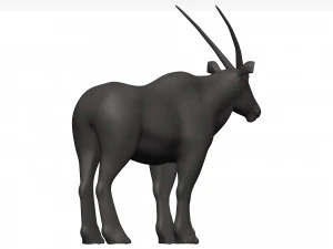 Gemsbok 3D Model