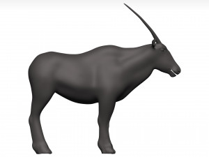 Gemsbok Modello 3D