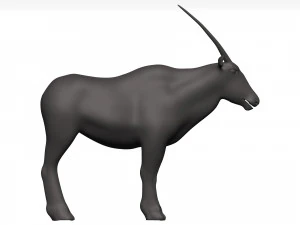 Gemsbok 3D Model