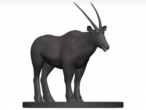 Gemsbok Modello 3D