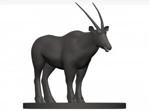 Gemsbok 3D Model