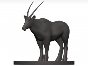 Gemsbok Modello 3D
