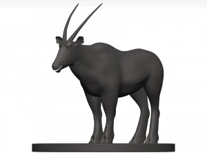 Gemsbok 3D Model