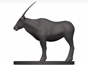 Gemsbok Modello 3D