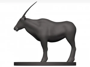 Gemsbok 3D Model