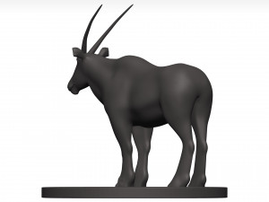 Gemsbok Modello 3D