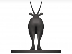 Gemsbok Modello 3D