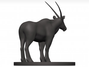 Gemsbok Modello 3D