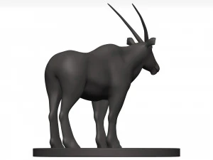 Gemsbok 3D Model