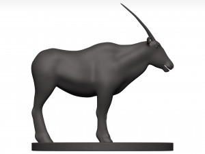 Gemsbok Modello 3D