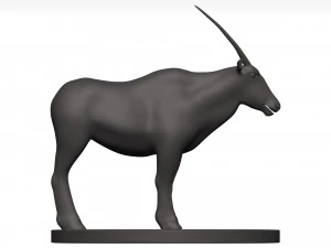 Gemsbok 3D Model