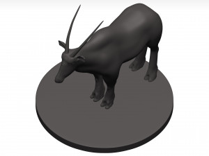 Gemsbok Modello 3D