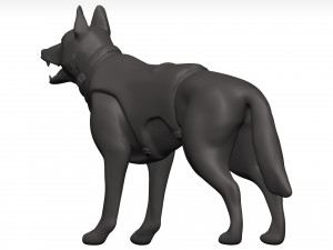 German shepherd 3D Model