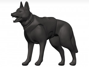 German shepherd 3D Model