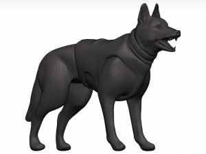 German shepherd 3D Model