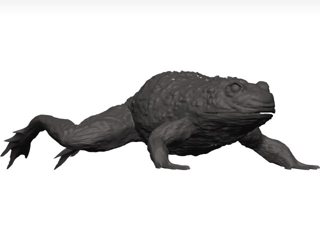 Bullfrog 3D Model .c4d .max .obj .3ds .fbx .stl .blend 