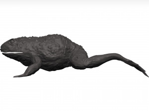 Bullfrog 3D Model