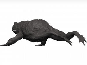 Bullfrog 3D Model