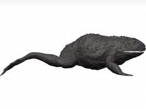 Bullfrog 3D Model
