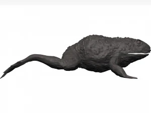 Bullfrog 3D Model
