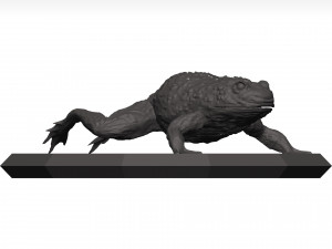 Bullfrog 3D Model