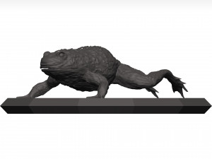 Bullfrog 3D Model