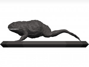 Bullfrog 3D Model