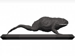 Bullfrog 3D Model