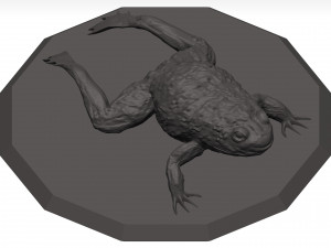 Bullfrog 3D Model
