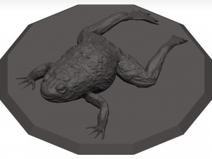 Bullfrog 3D Model
