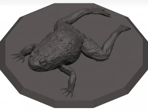 Bullfrog 3D Model
