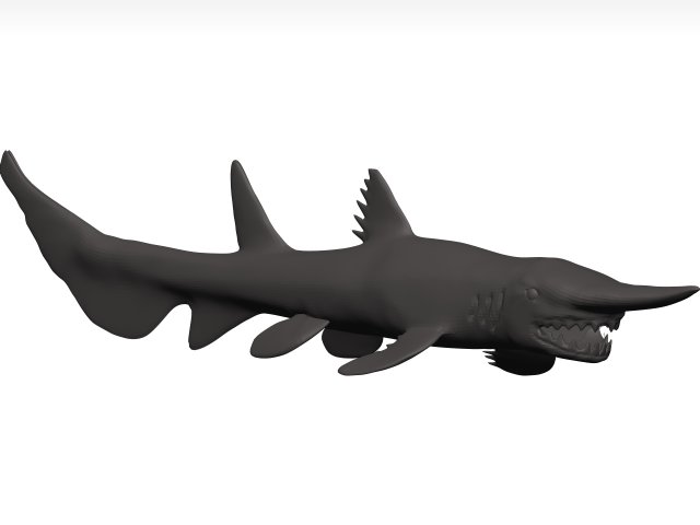 Goblin shark 3D Model .c4d .max .obj .3ds .fbx .stl .blend 