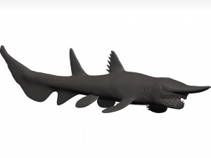 Goblin shark 3D Model