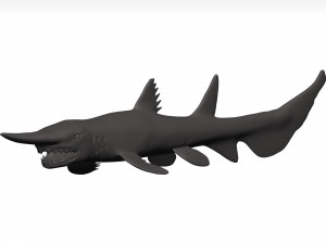 Goblin shark 3D Model