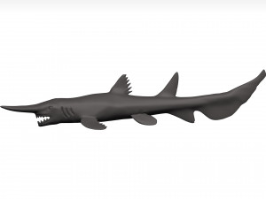 Goblin shark 3D Model