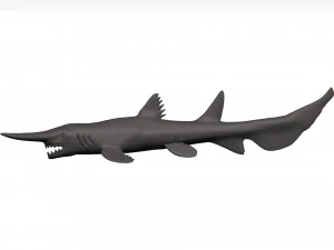 Goblin shark 3D Model