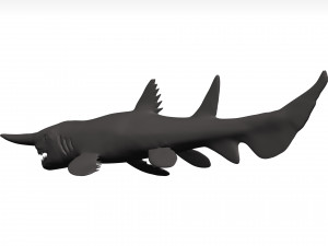 Goblin shark 3D Model