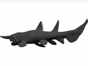 Goblin shark 3D Model