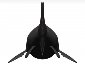 Goblin shark 3D Model