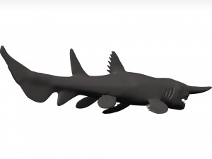 Goblin shark 3D Model