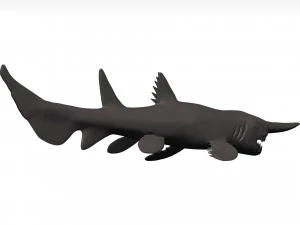 Goblin shark 3D Model