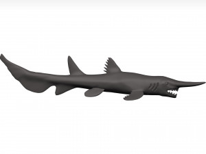 Goblin shark 3D Model