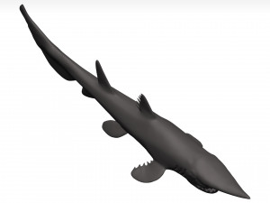 Goblin shark 3D Model