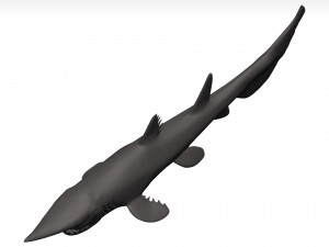 Goblin shark 3D Model