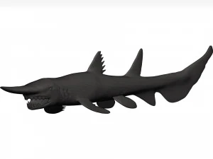 Goblin shark 3D Model