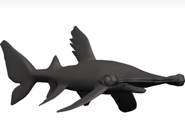 Hammerhead shark 3D Модель .c4d .max .obj .3ds .fbx .stl .blend 