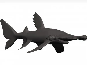 Requin marteau Modèle 3D