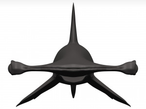 Hammerhead shark 3D Модель