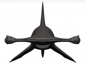 Hammerhead shark 3D Model
