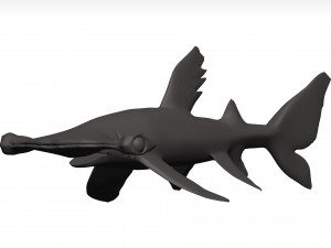 Hammerhead shark 3D Модель
